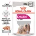 Royal Canin Exigent en mousse pour chien