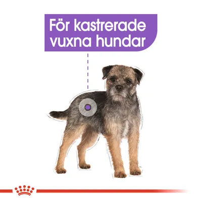 Text: För kastrerade vuxna hundar. Bild på en liten hund med markering vid sidan av kroppen.