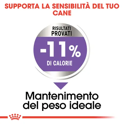 Supporta la sensibilità del tuo cane. Risultati provati: -11% di calorie. Mantenimento del peso ideale.