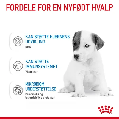Fordele for en nyfødt hvalp: Kan støtte hjernens udvikling (DHA), kan støtte immunsystemet (vitaminer), mikrobiom understøttelse (præbiotika og letfordøjelige proteiner).