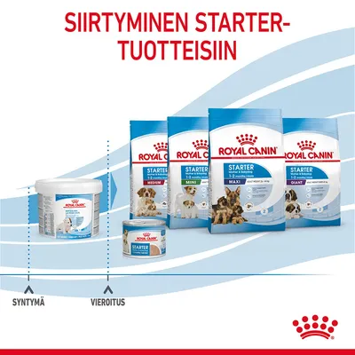 Royal Canin Starter -tuotteet: pentujen maitojauhe, märkäruoka ja kuivaruoat Medium, Mini, Maxi, Giant. Teksti: Siirtyminen starter-tuotteisiin. Aikajana: syntymä, vieroitus.