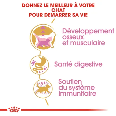 Donnez le meilleur à votre chat pour démarrer sa vie. Développement osseux et musculaire, santé digestive, soutien du système immunitaire.