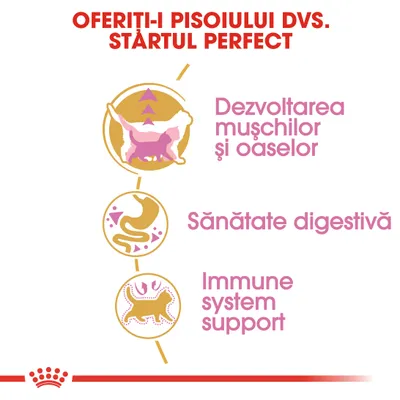 OFERITI-I PISOIULUI DVS. STARTUL PERFECT. Dezvoltarea mușchilor și oaselor, Sănătate digestivă, Immune system support.