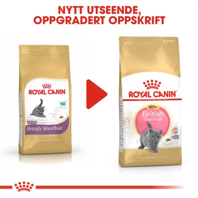 Royal Canin British Shorthair Kitten