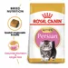 Royal Canin Persian Kitten