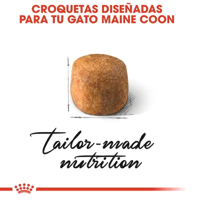 Croquetas diseñadas para tu gato Maine Coon. Imagen de una croqueta grande. Texto: tailor-made nutrition.