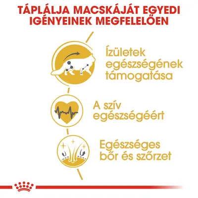 Táplálja macskáját egyedi igényeinek megfelelően: ízületek egészségének támogatása, a szív egészségéért, egészséges bőr és szőrzet.
