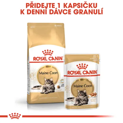 ROYAL CANIN Maine Coon Adult granule a kapsička, text: Přidejte 1 kapsičku k denní dávce granulí. Na obalech obrázek mainské mývalí kočky.