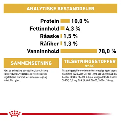 Royal Canin Maine Coon Adult i saus