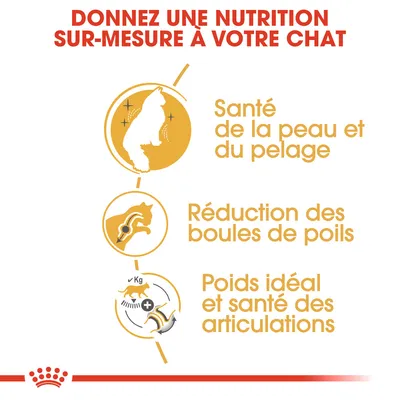 Donnez une nutrition sur-mesure à votre chat : santé de la peau et du pelage, réduction des boules de poils, poids idéal et santé des articulations.