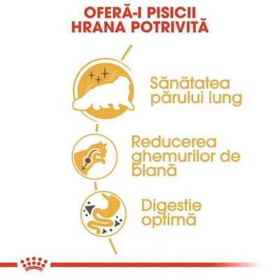 OFERĂ-I PISICII HRANA POTRIVITĂ. Sănătatea părului lung, reducerea ghemurilor de blană, digestie optimă.