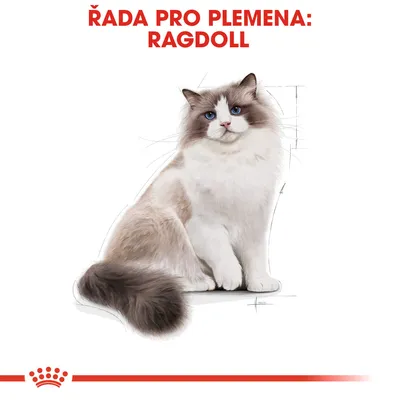 Řada pro plemena: Ragdoll. Ilustrace kočky ragdoll na bílém pozadí, červený pruh a korunka dole.