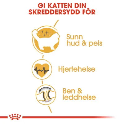 Royal Canin Ragdoll Adult