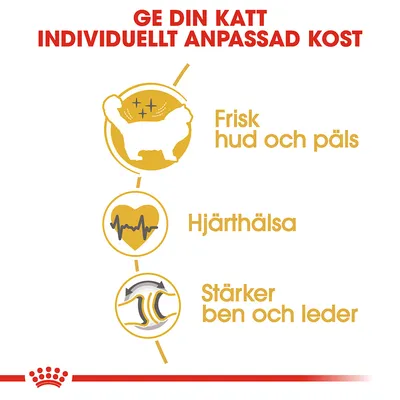 Ge din katt individuellt anpassad kost. Frisk hud och päls, hjärthälsa, stärker ben och leder.
