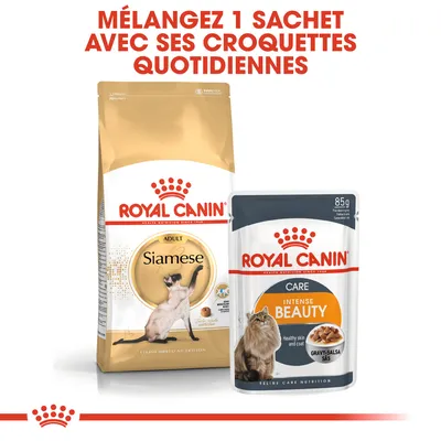 ROYAL CANIN Adult Siamese croquettes et ROYAL CANIN Care Intense Beauty sachet 85 g. Texte visible : Mélangez 1 sachet avec ses croquettes quotidiennes.