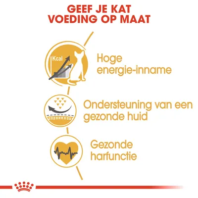 Geef je kat voeding op maat: hoge energie-inname, ondersteuning van een gezonde huid, gezonde harfunctie. Tekst en pictogrammen in het Nederlands.