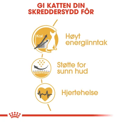 Royal Canin Sphynx Adult