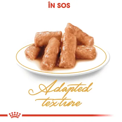 Bucăți de hrană umedă în sos pe farfurie, text vizibil: „ÎN SOS”, „Adapted texture” (engleză).