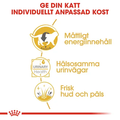 Ge din katt individuellt anpassad kost. Måttligt energiinnehåll, hälsosamma urinvägar, frisk hud och päls. Texten URINARY Health syns.