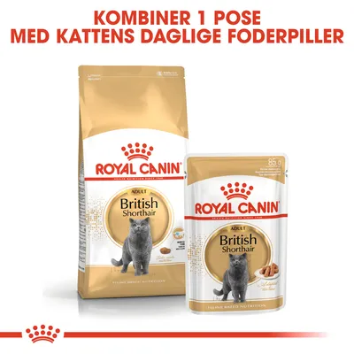 ROYAL CANIN ADULT British Shorthair tør- og vådfoder. Tekst: Kombiner 1 pose med kattens daglige foderpiller. Vådfoderpose 85 g synlig.