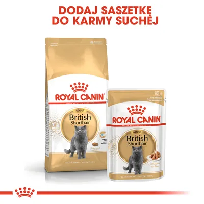 ROYAL CANIN British Shorthair Adult; opakowanie suchej karmy i saszetka 85 g. Napis: Dodaj saszetkę do karmy suchej.
