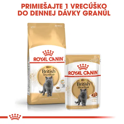 ROYAL CANIN Adult British Shorthair – balenie granúl a vrecúško. Text: Primiešajte 1 vrecúško do dennej dávky granúl.