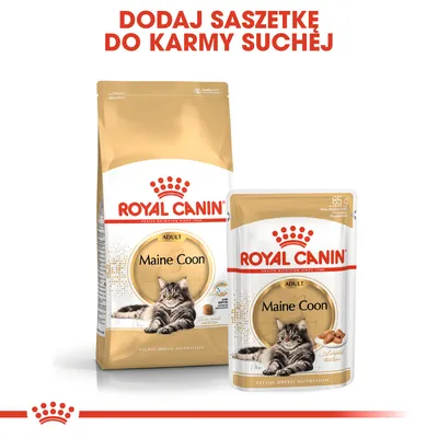 ROYAL CANIN Maine Coon Adult – opakowanie suchej karmy i saszetka. Napis: Dodaj saszetkę do karmy suchej.