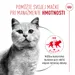 Royal Canin Light Weight Care AirLift Mousse