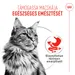 Royal Canin Digestive Care AirLift Mousse