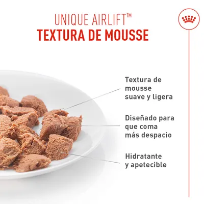 Royal Canin Digestive Care AirLift Mousse