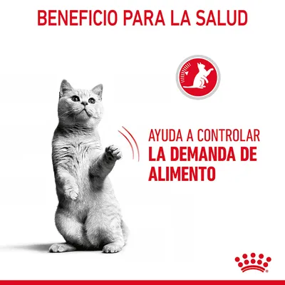 Beneficio para la salud. Ayuda a controlar la demanda de alimento. Imagen de un gato y símbolo rojo con silueta de gato. Texto destacado en rojo.