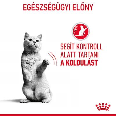 EGÉSZSÉGÜGYI ELŐNY. SEGÍT KONTROLL ALATT TARTANI A KOLDULÁST. Piros körben ülő macska ikon, Royal Canin logó lent.