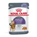 Royal Canin Appetite Control Care в желе