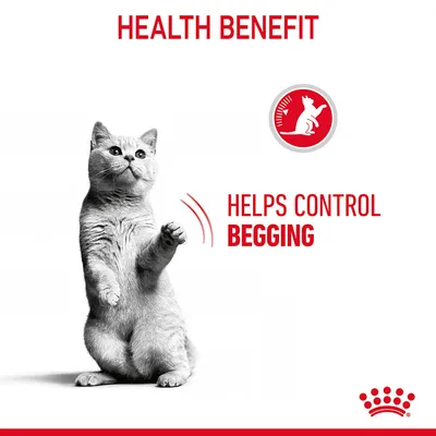 Text: HEALTH BENEFIT. Helps control begging. Red icon with cat silhouette. Royal Canin crown symbol bottom right.