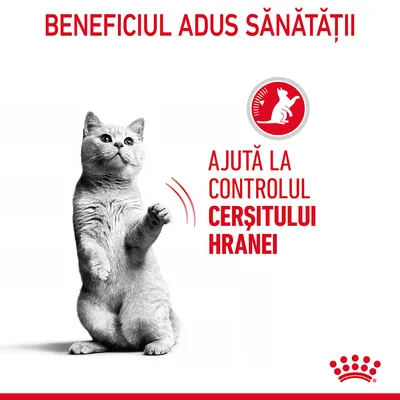 Beneficiul adus sănătății. Ajută la controlul cerșitului hranei.