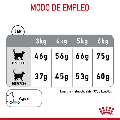 Tabla de raciones diarias para gatos: peso ideal 3 kg 46 g, 4 kg 56 g, 5 kg 66 g, 6 kg 75 g; sobrepeso 3 kg 37 g, 4 kg 45 g, 5 kg 53 g, 6 kg 60 g. Energía: 3708 kcal/kg.