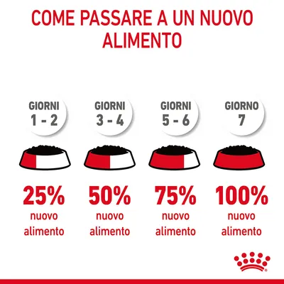 Guida al cambio alimentare: giorni 1–2 25% nuovo alimento, giorni 3–4 50%, giorni 5–6 75%, giorno 7 100%. Testo: Come passare a un nuovo alimento. Logo Royal Canin visibile.