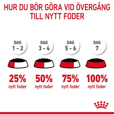Övergång till nytt foder: dag 1–2, 25 % nytt foder; dag 3–4, 50 %; dag 5–6, 75 %; dag 7, 100 %. Text och diagram med matskålar. Royal Canin-logotyp synlig.