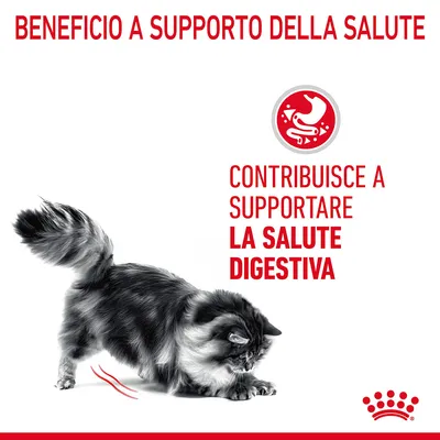 Beneficio a supporto della salute. Contribuisce a supportare la salute digestiva.