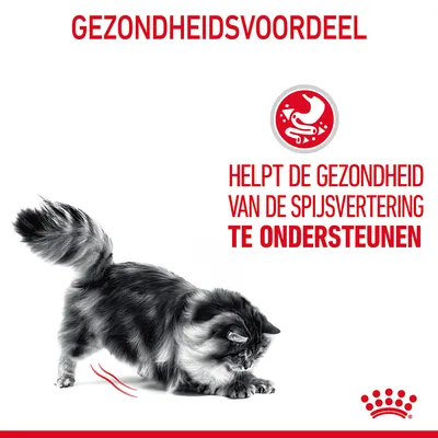 GEZONDHEIDSVOORDEEL. Helpt de gezondheid van de spijsvertering te ondersteunen.