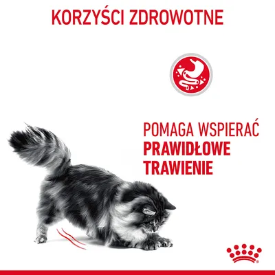 Korzyści zdrowotne. Pomaga wspierać prawidłowe trawienie – tekst na grafice z kotem i symbolem układu pokarmowego. Royal Canin.