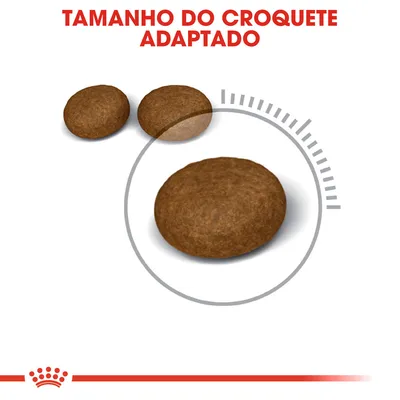 Três croquetes de ração em diferentes tamanhos com destaque para um maior. Texto visível: 'TAMANHO DO CROQUETE ADAPTADO'.