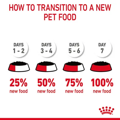 How to transition to a new pet food: Days 1–2, 25% new food; Days 3–4, 50%; Days 5–6, 75%; Day 7, 100%. Red and white bowls shown for each stage. Royal Canin branding visible.