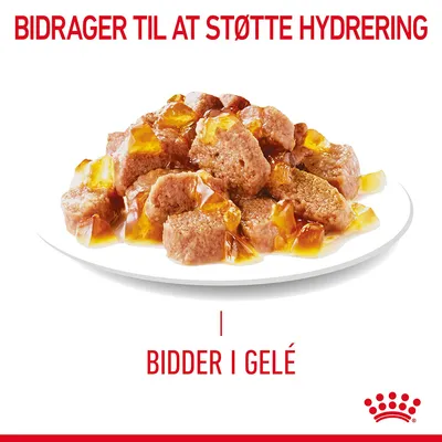 BIDRAGER TIL AT STØTTE HYDRERING. BIDER I GELÉ. Tallerken med kødbidder i gelé, Royal Canin synligt nederst.