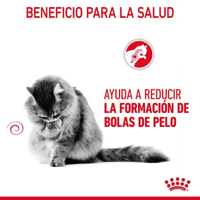 Beneficio para la salud. Ayuda a reducir la formación de bolas de pelo.