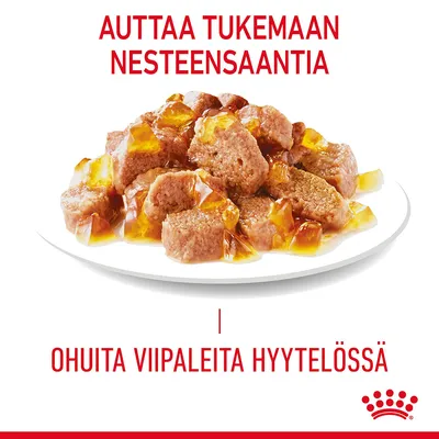 AUTTAA TUKEMAAN NESTEENSAANTIA. OHUITA VIIPALEITA HYYTELÖSSÄ. Lautasella lihapaloja hyytelössä, Royal Canin -logo alareunassa.