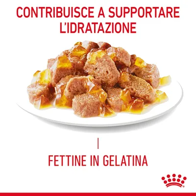 Fettine in gelatina su piatto, testo: contribuisce a supportare l’idratazione. Marchio Royal Canin visibile in basso a destra.