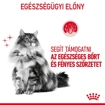 EGÉSZSÉGÜGYI ELŐNY. Segít támogatni az egészséges bőrt és fényes szőrzetet. Fekete-fehér macska, piros ikon bőrrel és csillogással.