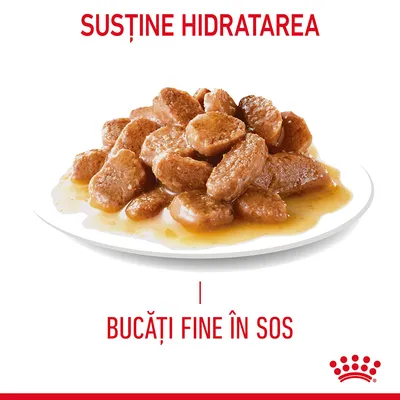 Bucăți fine în sos pe farfurie, text vizibil: „Susține hidratarea” și „Bucăți fine în sos”, logo Royal Canin în colțul din dreapta jos.