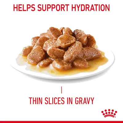 Helps support hydration. Thin slices in gravy. Plate with meat pieces in sauce. Red crown symbol bottom right.